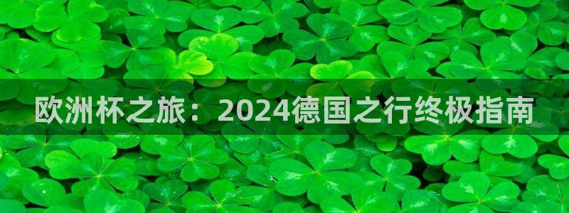 欧洲杯最新赛程：欧洲杯之旅：2024德国之行终极指南