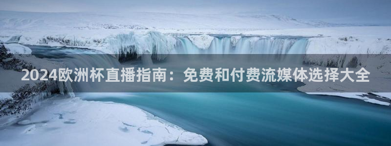 欧洲杯投注在哪找网址：2024欧洲杯直播指南：免费和付费流媒体选择大全