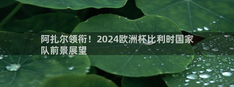 2024欧洲杯官方网站首页|阿扎尔领衔！2024欧洲杯比利时国家
队前景展望