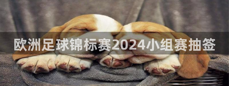 欧洲杯下单平台官网|欧洲足球锦标赛2024小组赛抽签