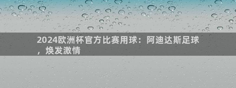 欧洲杯网站|2024欧洲杯官方比赛用球：阿迪达斯足球
，焕发激情