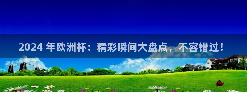 欧洲杯直播平台|2024 年欧洲杯：精彩瞬间大盘点，不容错过！