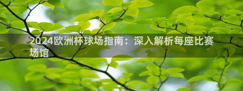 欧洲杯哪里买球靠谱|2024欧洲杯球场指南：深入解析每座比赛
场馆