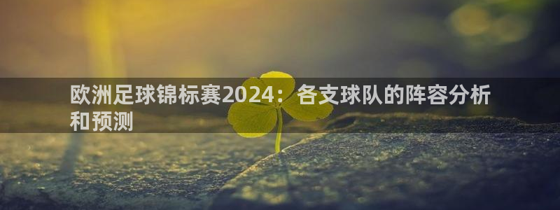 欧洲杯买注在哪买|欧洲足球锦标赛2024：各支球队的阵容分析
和预测