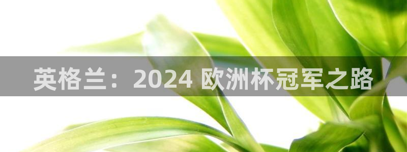 2024欧洲杯竞猜网址|英格兰：2024 欧洲杯冠军之路