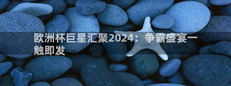 2024欧洲杯竞猜网址|欧洲杯巨星汇聚2024：争霸盛宴一
触即发