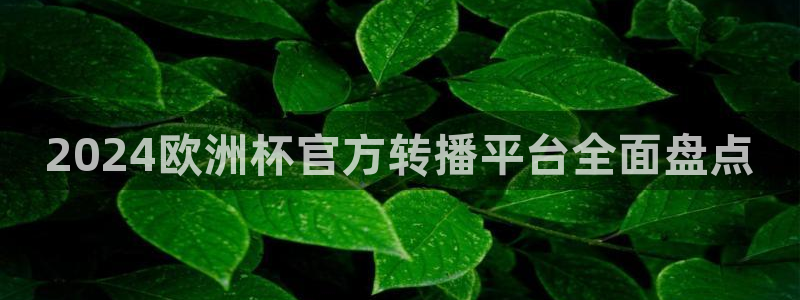 欧洲杯投注在哪找网址|2024欧洲杯官方转播平台全面盘点