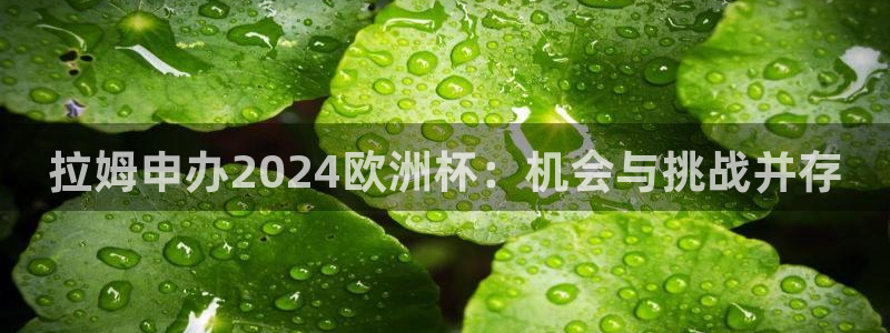 欧洲杯押注入口|拉姆申办2024欧洲杯：机会与挑战并存