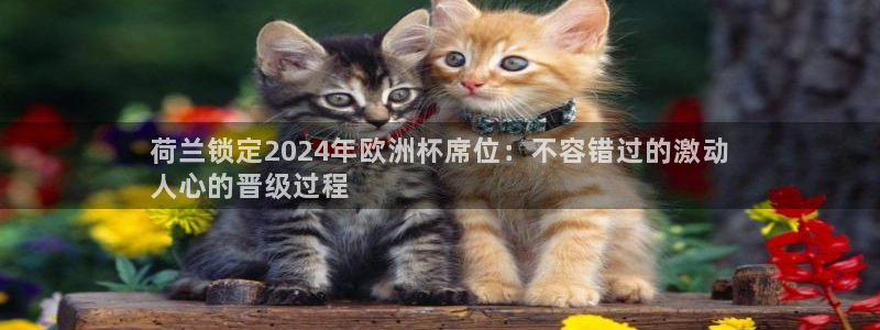 欧洲杯下单平台官方网站|荷兰锁定2024年欧洲杯席位：不容错过的激动
人心的晋级过程